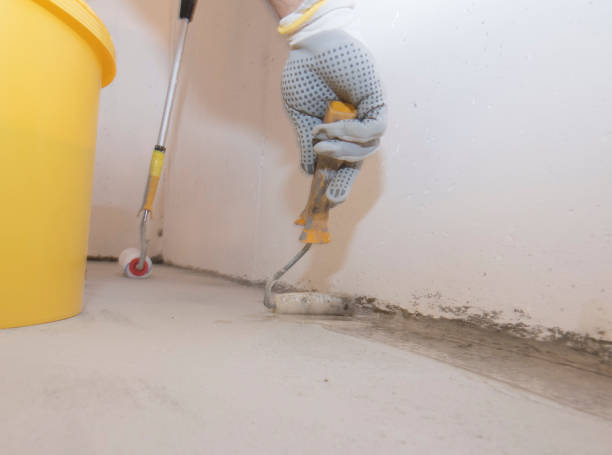 Best Termite Inspection and Treatment  in Williams, OR